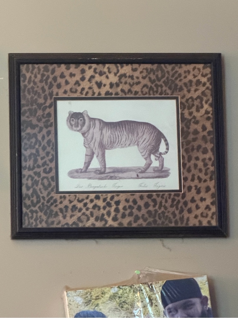 Framed Tiger Illustration Wall Art in Brown Leopard Mat